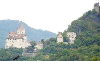 Kollmann 2010